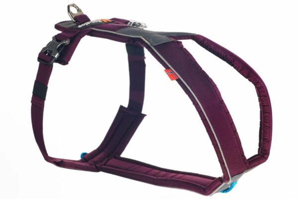 line-harness-purple-1